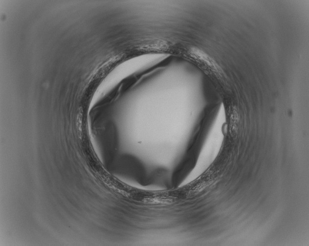 X0000076270739200610191739