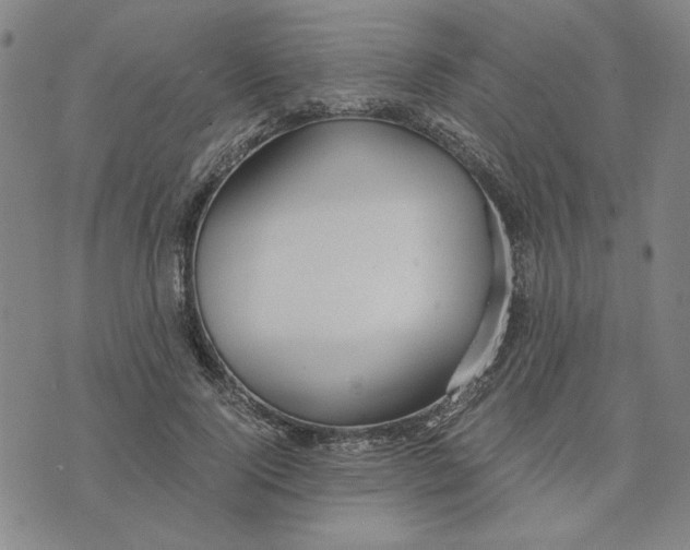 X0000076270740200610191739