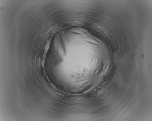 X0000076270741200610191739