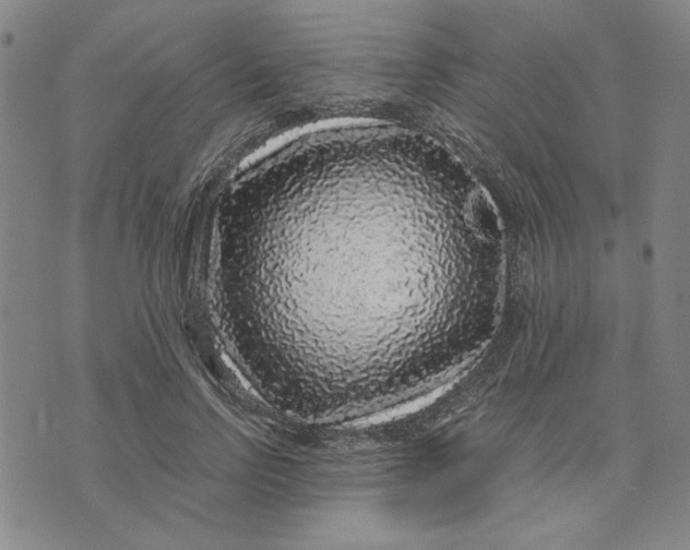 X0000076270742200610191739