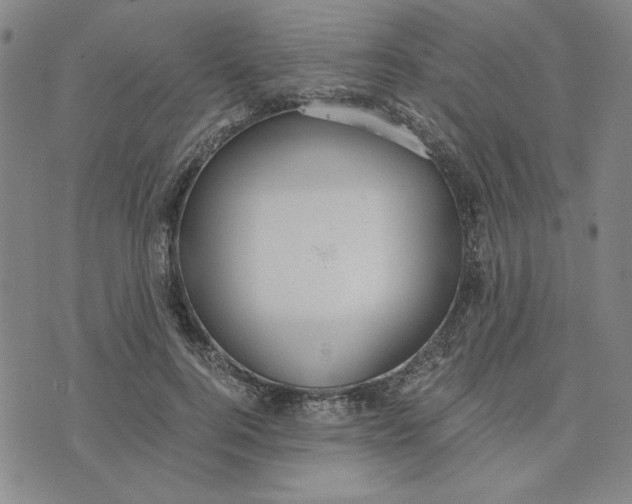 X0000076270744200610191739