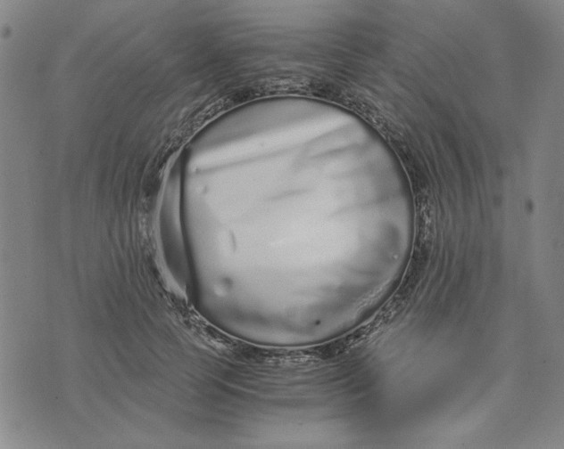 X0000076270745200610191739