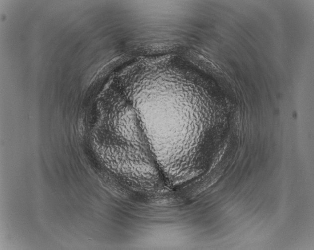 X0000076270746200610191739