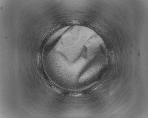 X0000076270747200610191739