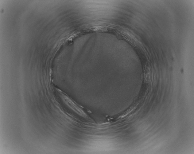 X0000076270748200610191739