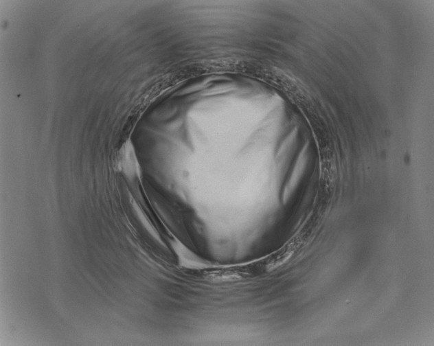 X0000076270749200610191739