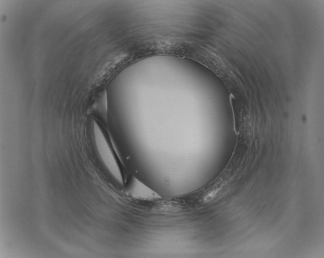 X0000076270750200610191739