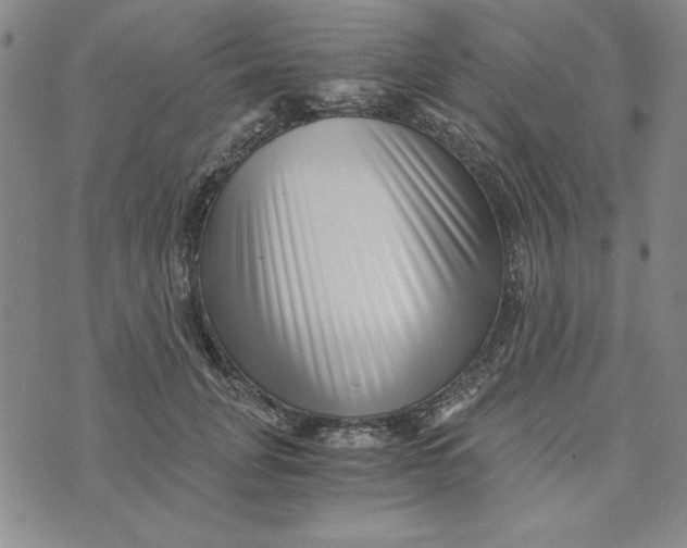 X0000076270751200610191739