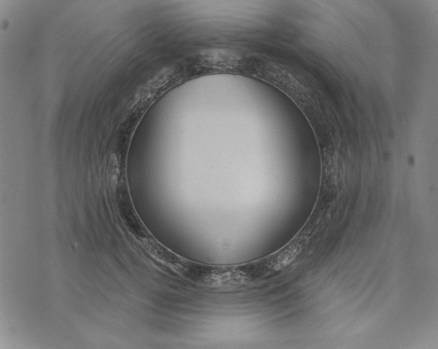 X0000076270752200610191739