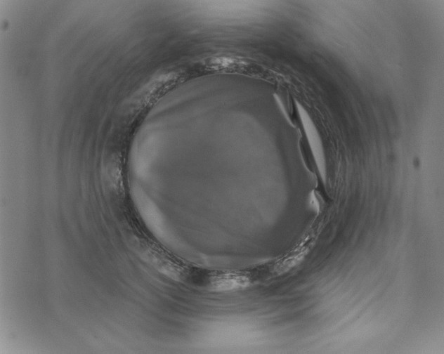 X0000076270754200610191739