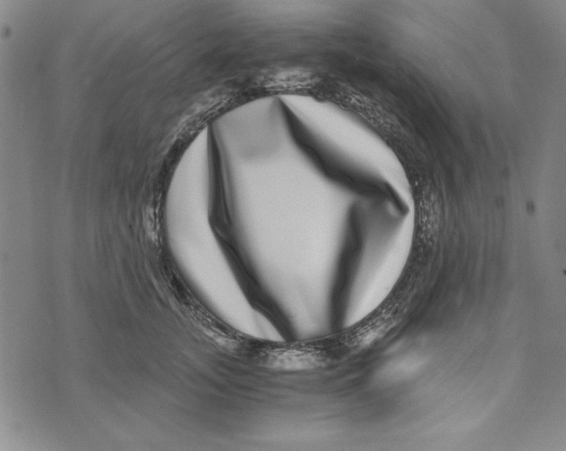 X0000076270755200610191739