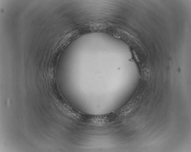 X0000076270756200610191739