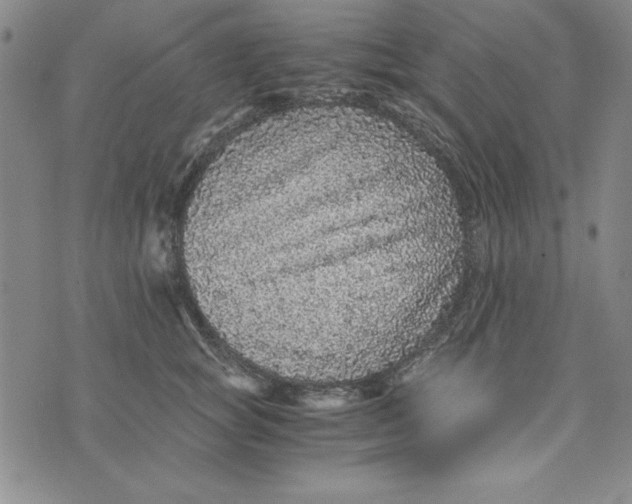 X0000076270757200610191739