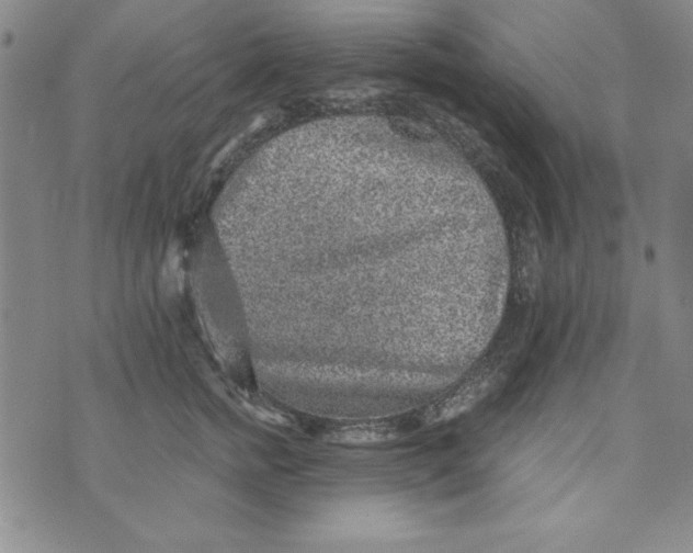 X0000076270758200610191739