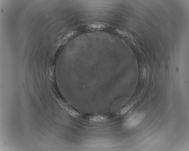 X0000076270759200610191739