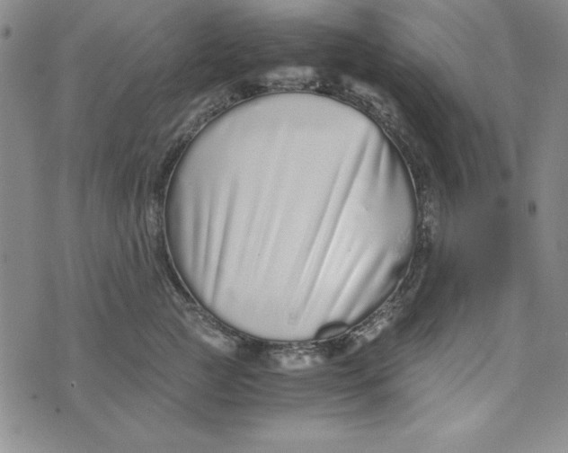 X0000076270761200610191739