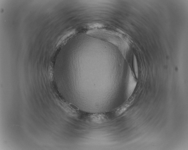 X0000076270762200610191739