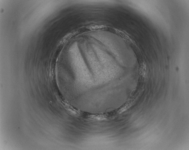 X0000076270763200610191739