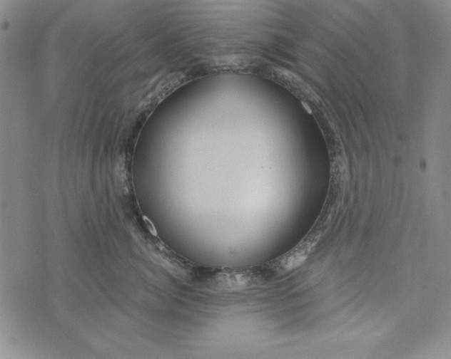 X0000076270764200610191739