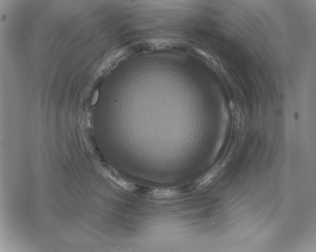 X0000076270766200610191739