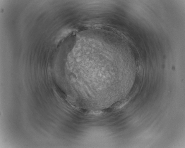 X0000076270767200610191739