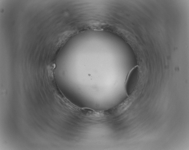 X0000076270768200610191739