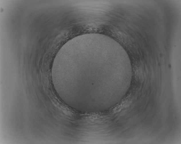 X0000076270769200610191738