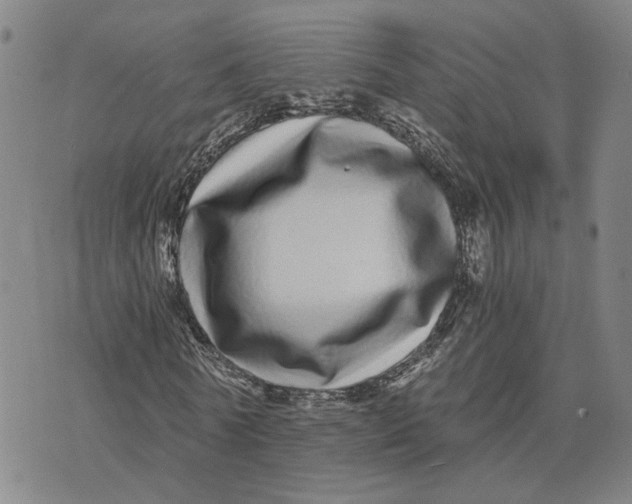 X0000076270770200610191738