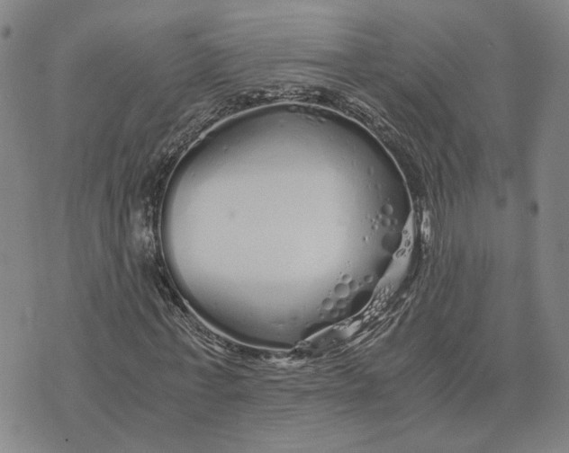 X0000076270771200610191738