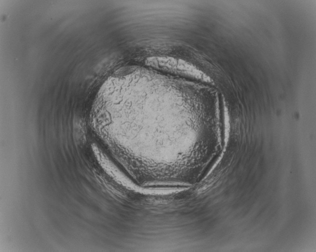 X0000076270772200610191738