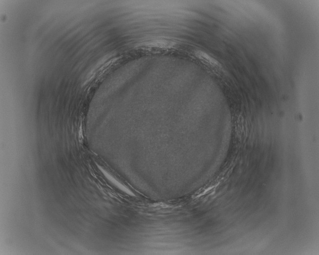 X0000076270774200610191738