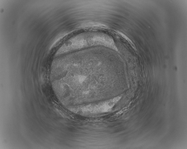 X0000076270775200610191738