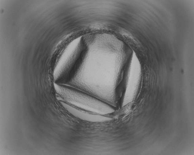 X0000076270776200610191738