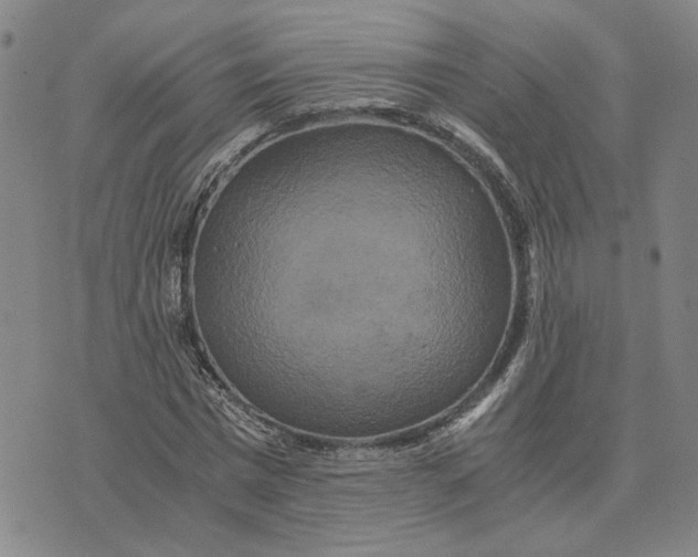 X0000076270777200610191738