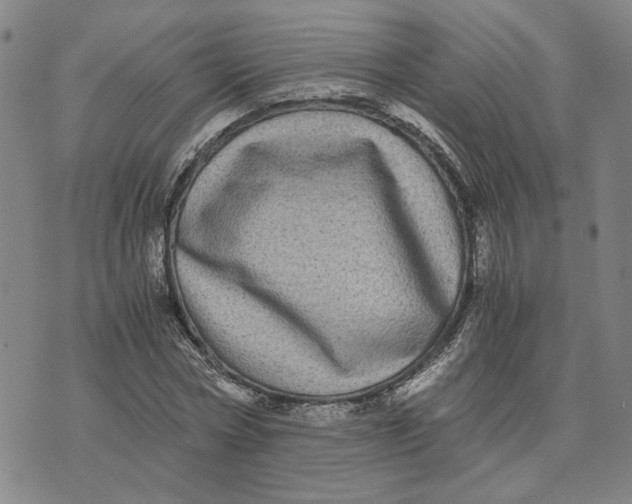 X0000076270778200610191738