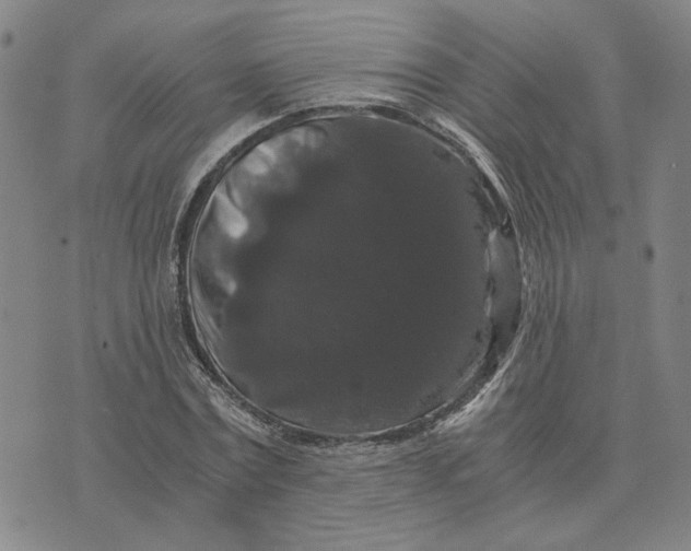 X0000076270779200610191738