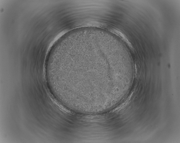 X0000076270780200610191738