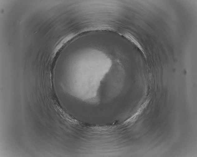 X0000076270781200610191738