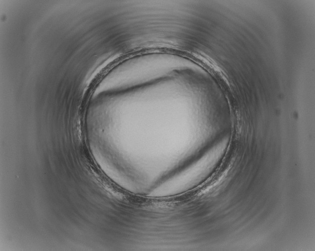 X0000076270782200610191738