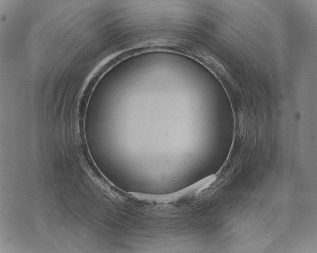 X0000076270784200610191738