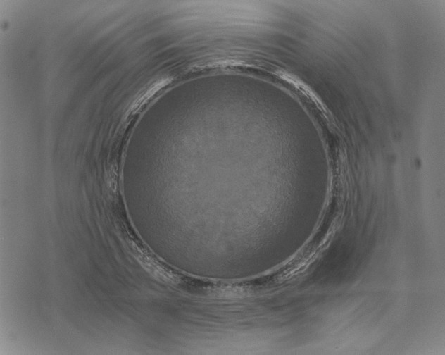 X0000076270785200610191738