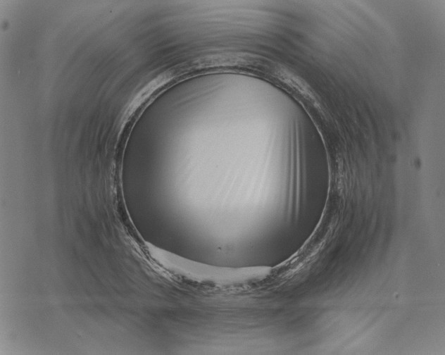 X0000076270786200610191738