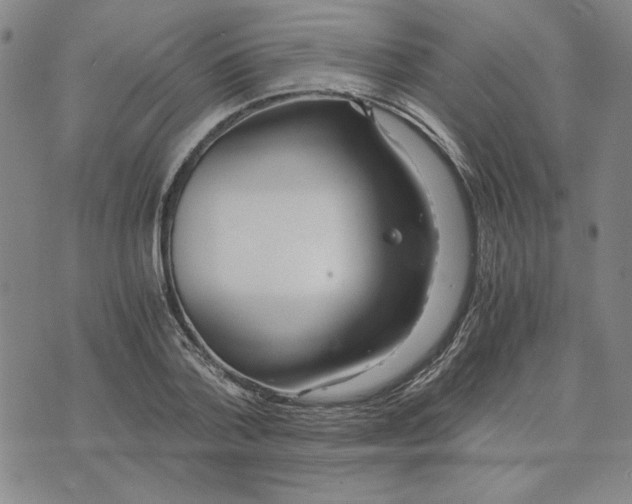 X0000076270788200610191738