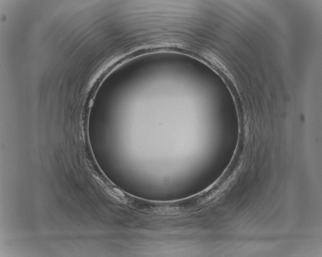 X0000076270789200610191738