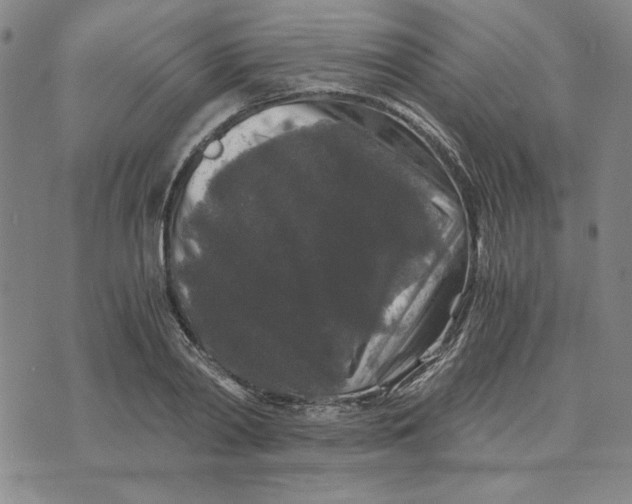 X0000076270790200610191738