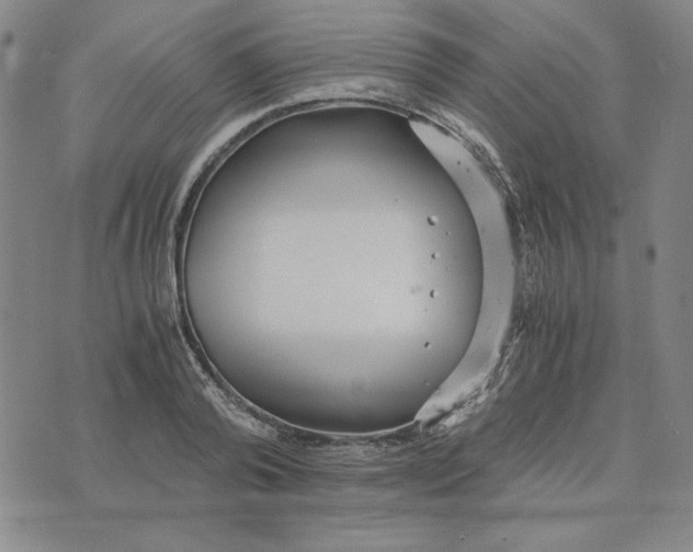 X0000076270792200610191738