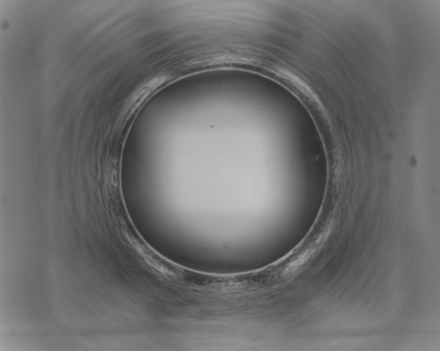 X0000076270793200610191738