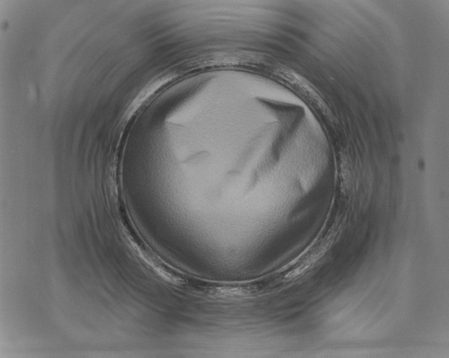 X0000076270794200610191738