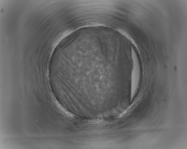 X0000076270797200610191738