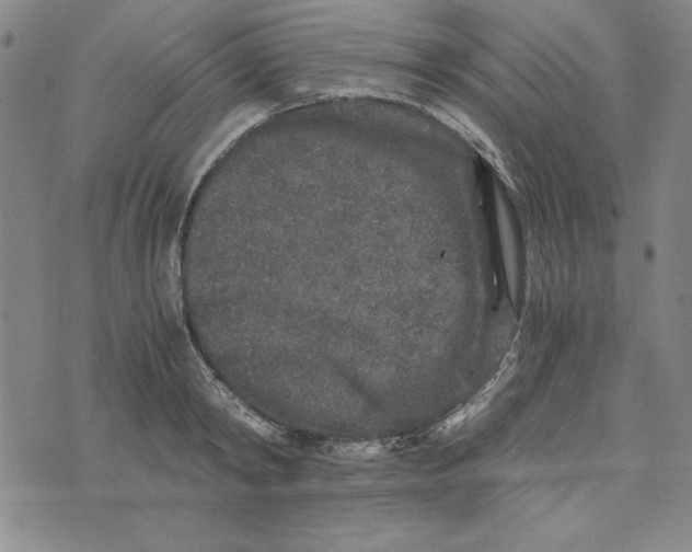 X0000076270798200610191738